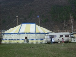 Заведохте ли детето си на цирк